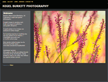 Tablet Screenshot of nigelburkitt.com